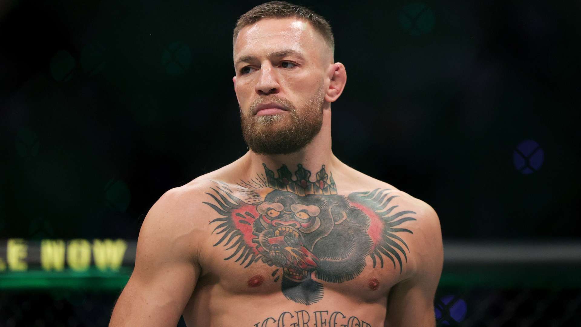 戴维斯的加 戴维斯的加