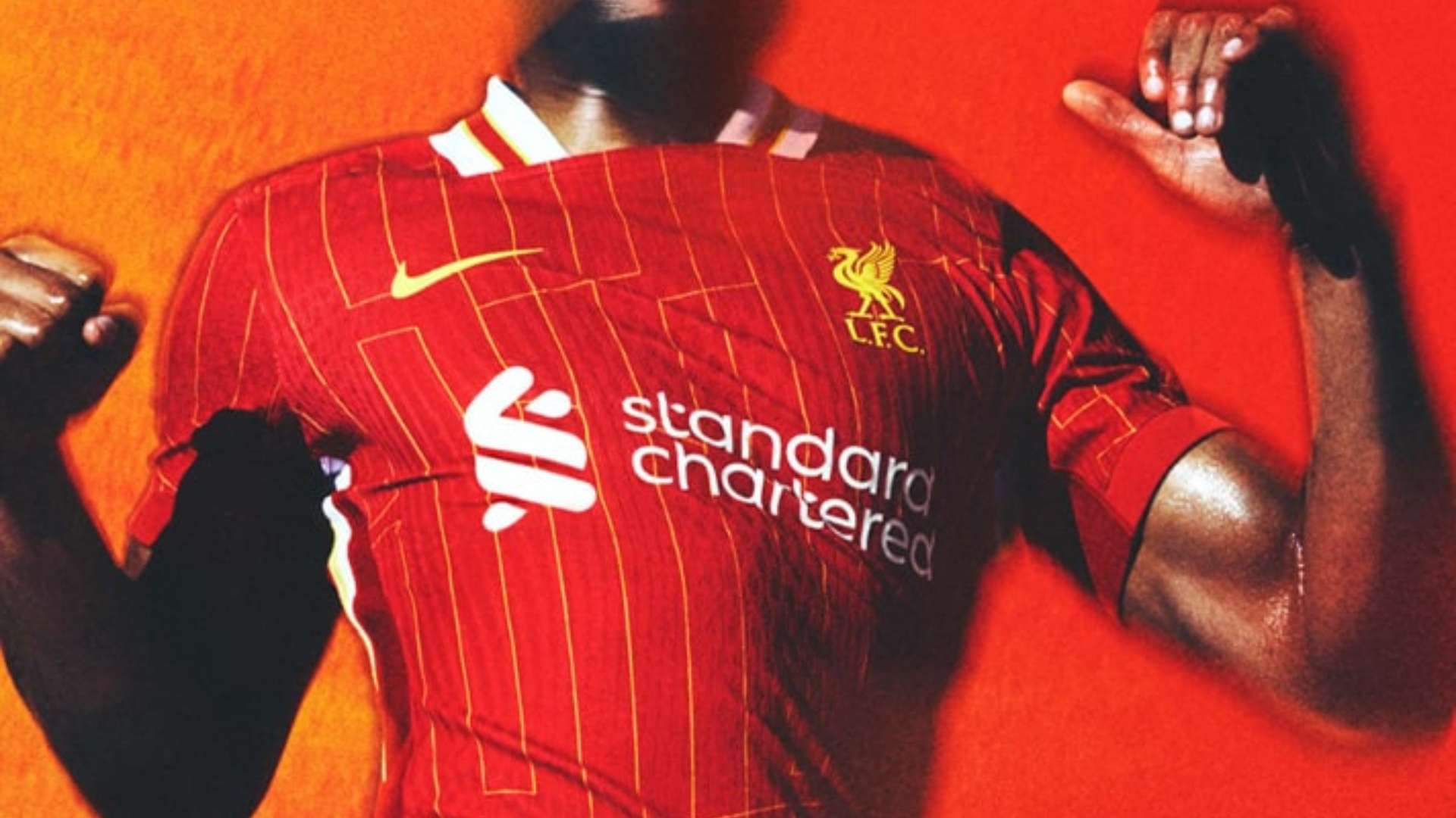 更为未来的 更为未来的