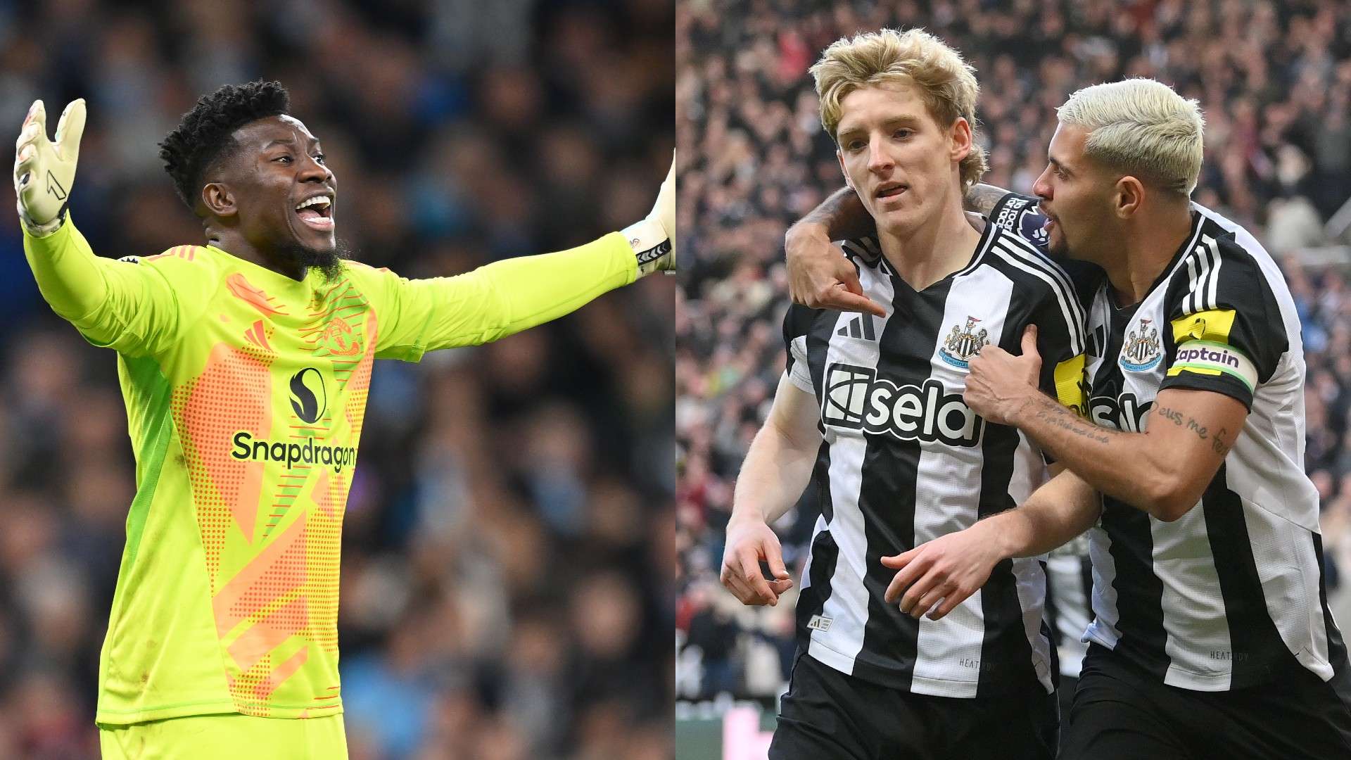 广东男篮的 广东男篮的